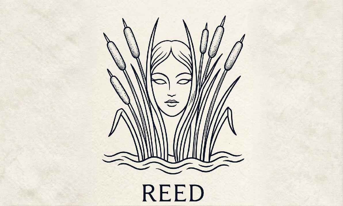 Reed Mask Daily Perception